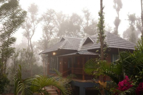 Entire Unique Destination Near Thirunelli Temple.